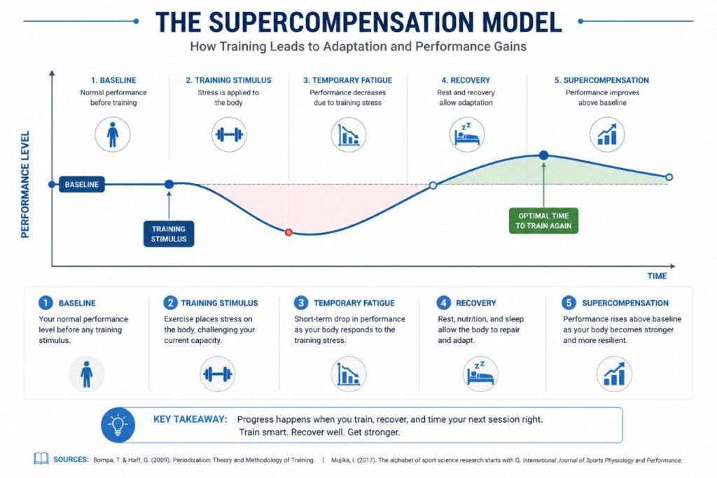 Supercompensation curve showing performance improvement after recovery.